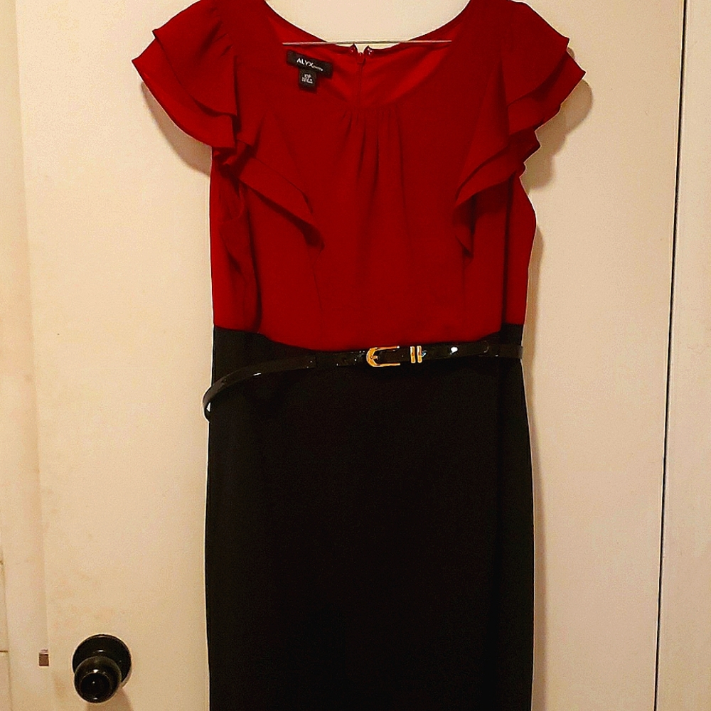 Red Alyx petite dress size 10P